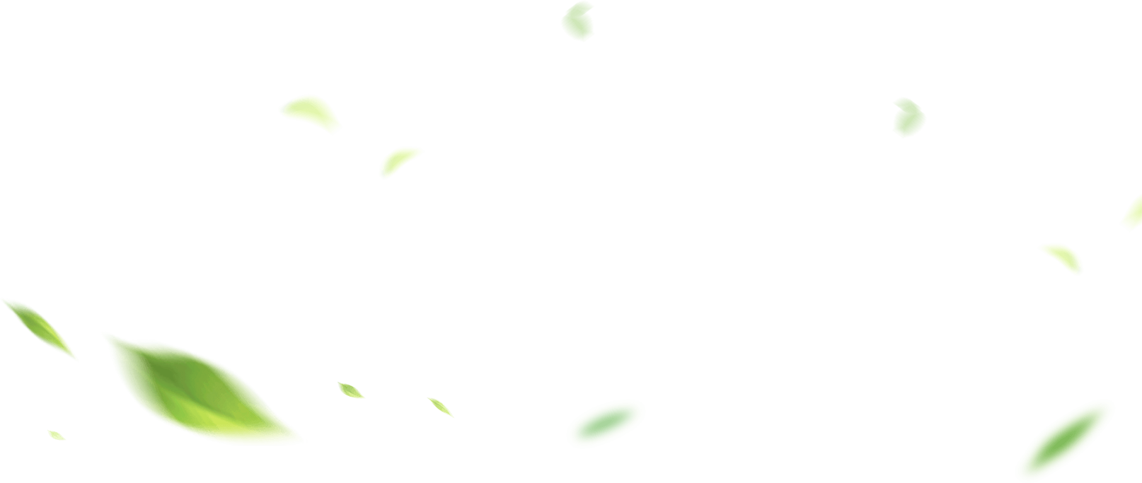 保合包裝公司簡介